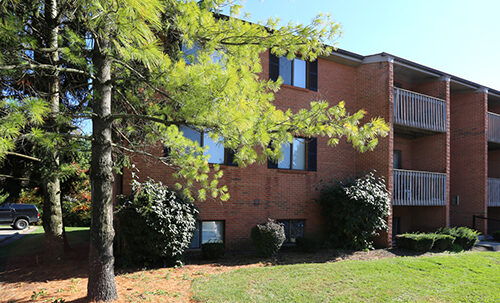 Image Coming Soon Image Coming Soon