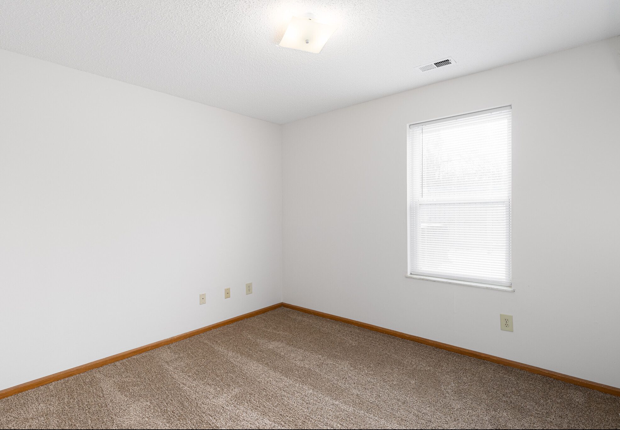 Image Coming Soon Image Coming Soon